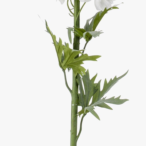 Nahaufnahme eines grünen Stiels einer Kunstblume mit gezackten grünen Blättern.