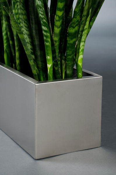 Rechteckiger Pflanzkasten aus Edelstahl mit einer Sansevieria-Pflanze.
