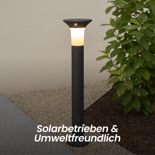 Solarleuchte für den Außenbereich im Garten.