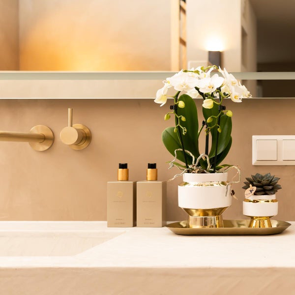 Kolibri Company - Set aus weißer Orchidee und Sukkulente auf goldenem Tablett