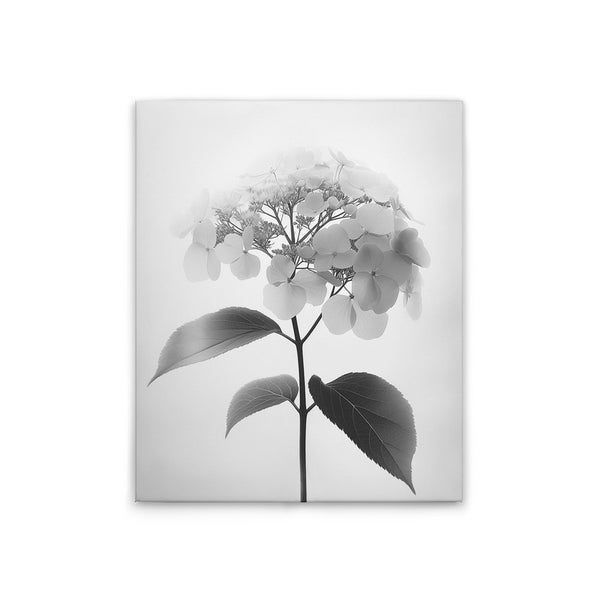 Schwarz-weißes Leinwandbild einer Hortensienblüte