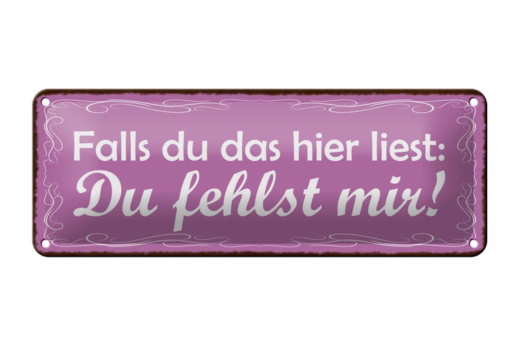 Blechschild Spruch 27x10cm falls du das liest Du fehlst mir Dekoration