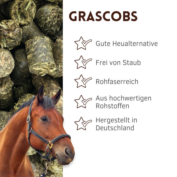 Grascobs für Pferde als Futtermittel