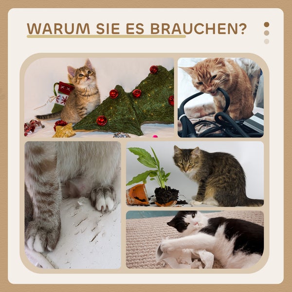 Collage mit Fotos von Katzen, die Unfug treiben. Text: Warum Sie es brauchen?