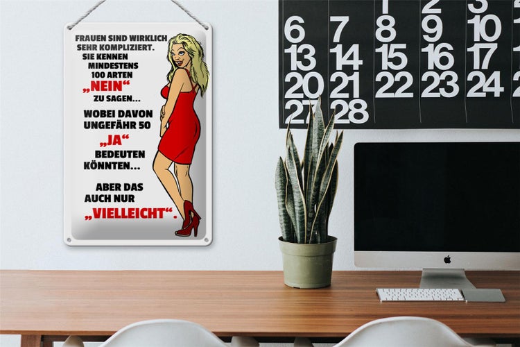 Blechschild Spruch 20x30cm Frauen kennen 100 Arten Nein sagen