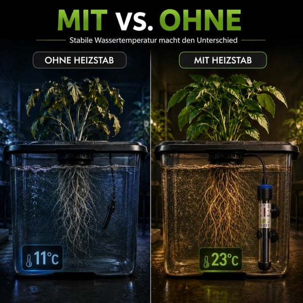 Vergleichsbild eines Hydroponik Systems mit und ohne Heizstab zur Regulierung der Wassertemperatur für optimales Pflanzenwachstum.
