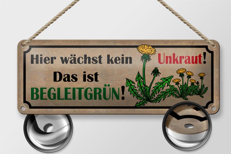 Blechschild Spruch 27x10cm hier wächst kein Unkraut das ist Dekoration
