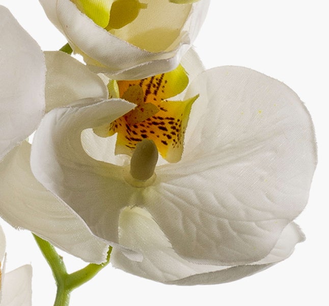 Künstliche Orchidee Phalaenopsis mit weißen Blüten und grünen Knospen.