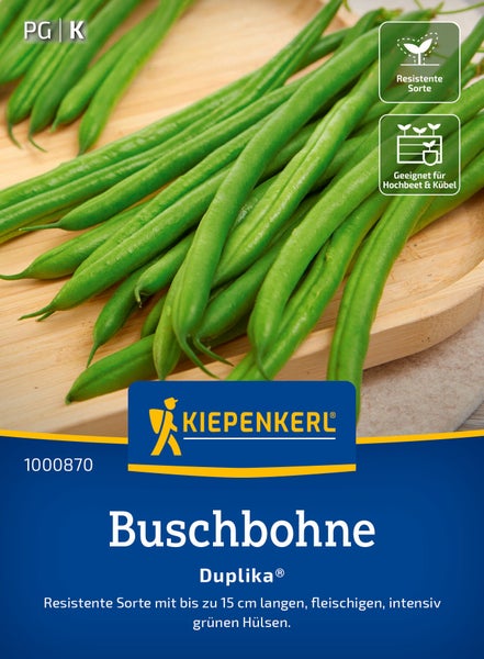 Saatgut für Buschbohne Duplika von Kiepenkerl, eine resistente Sorte mit langen fleischigen grünen Hülsen für Hochbeet und Kübel.