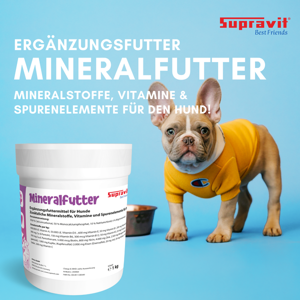 Dose Supravit Ergänzungsfutter Mineralfutter mit Vitaminen und Spurenelementen für Hunde neben einer Französischen Bulldogge.