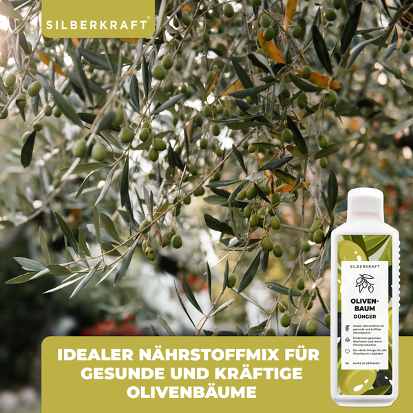 Holzbohrer mit Wendel