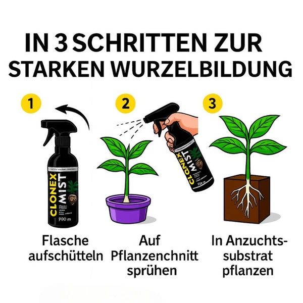 Dreistufige Anleitung zur Anwendung von Clonex Mist für starke Wurzelbildung: Schütteln, auf Stecklinge sprühen und in Substrat einsetzen.