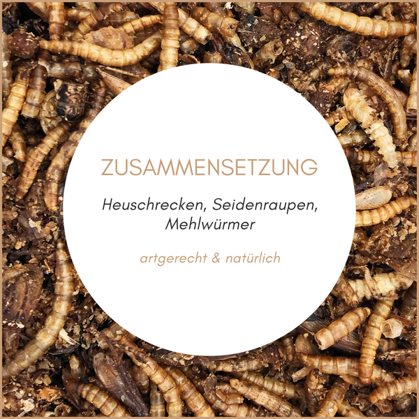 Futterzusammensetzung bestehend aus Heuschrecken, Seidenraupen und Mehlwürmern für artgerechte Tierernährung.