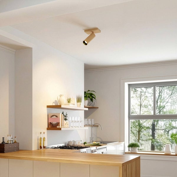 Helle Küche mit modernem Deckenstrahler, Regalen und Fenster