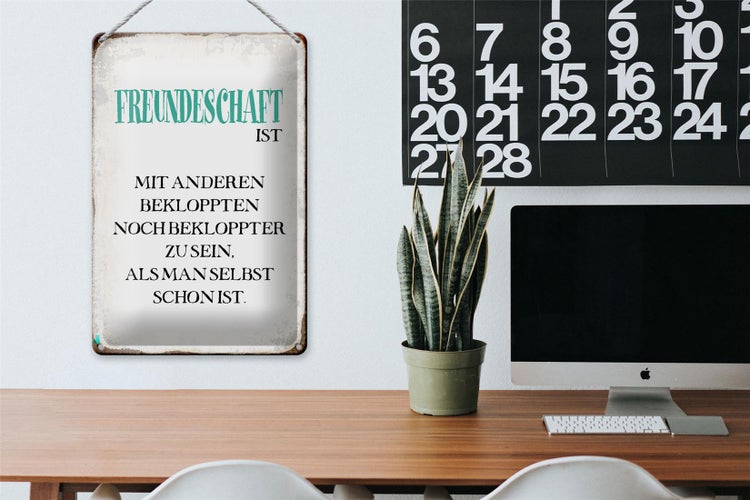 Blechschild Spruch 20x30cm Freundschaft ist mit anderen