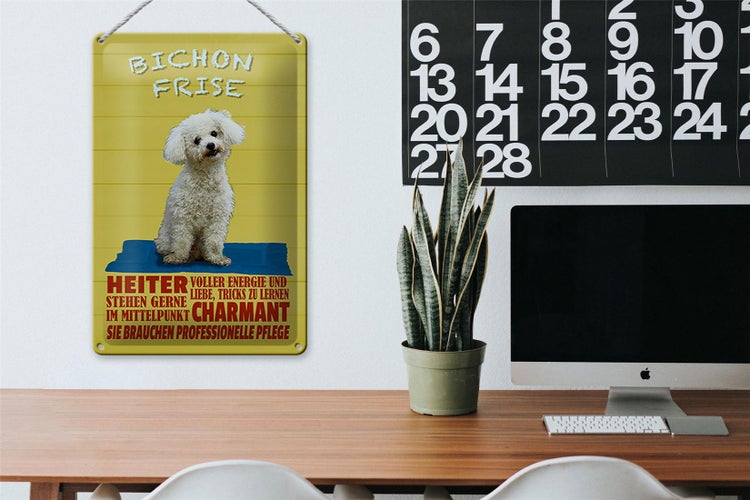 Blechschild Spruch 20x30cm Hund Bichon Frise charmant