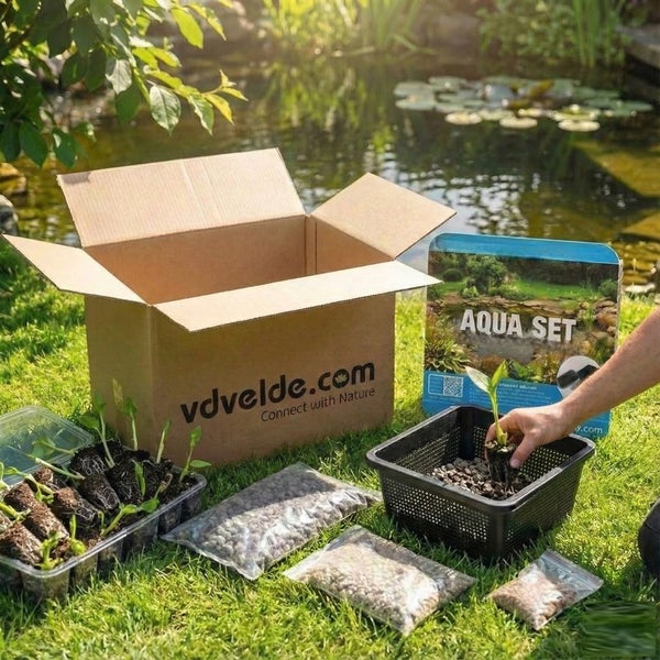 Aqua Set für Teichpflanzen mit vdvelde.com Logo auf dem Karton, Pflanzenstecklingen, Teichsubstrat und einem Pflanzkorb im Garten am Teich.