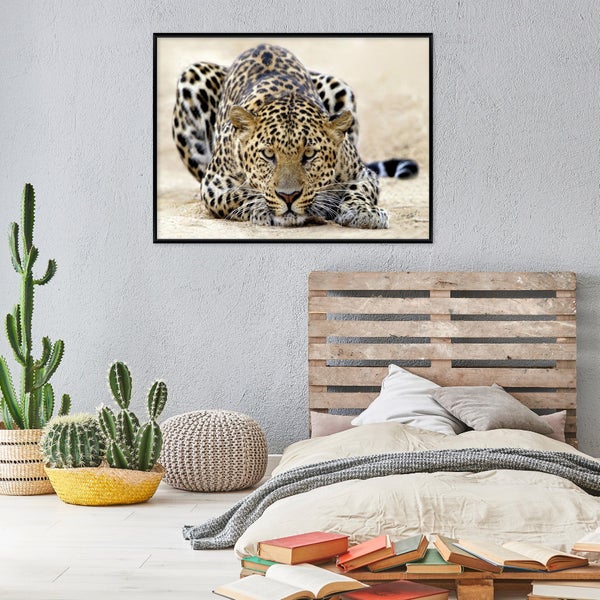 Bilder mit Rahmen Lampard Tiere Natur PPR14750O20 Wandbilder Wohnzimmer Schlafzimmer 120x80 cm