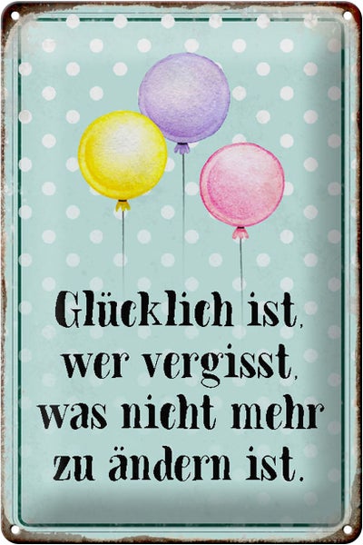 Blechschild Spruch 20x30cm glücklich ist wer vergisst was