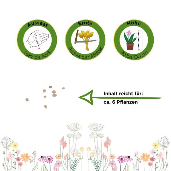 Symbole für Aussaat von März bis April, Ernte von August bis Oktober, Wuchshöhe 80 bis 100 Zentimeter und Inhalt für circa 6 Pflanzen.