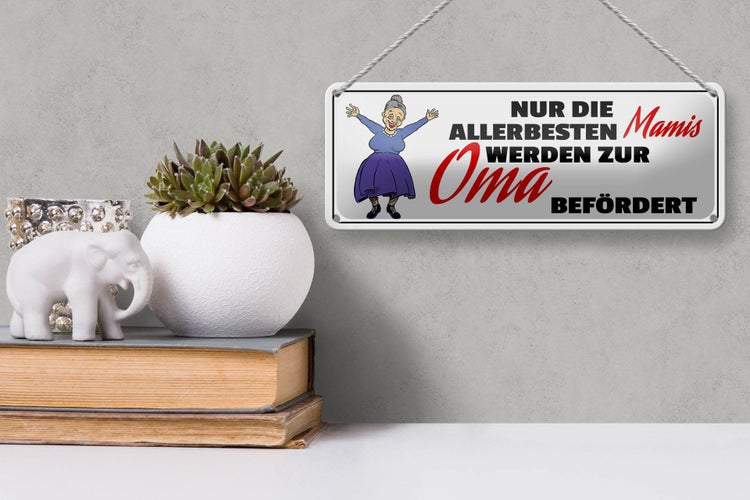 Blechschild Spruch 27x10cm zur Oma befördert Dekoration
