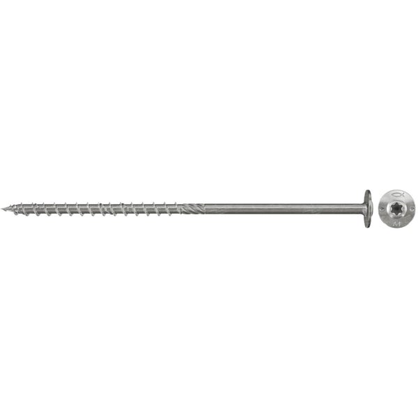 Einzelne Schraube mit Linsenkopf und Torx Antrieb