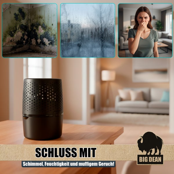 Produktbild zur Beseitigung von Schimmel, Feuchtigkeit und Gerüchen mit einem Luftreiniger der Marke Big Dean