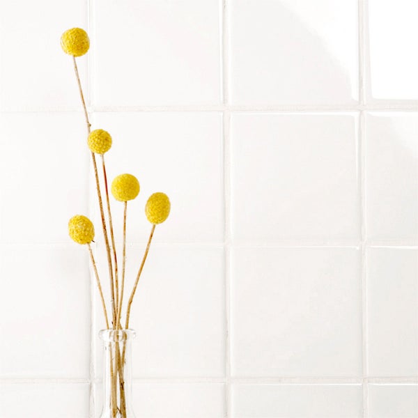 Trockenblumen Craspedia in einer Glasvase vor quadratischen Wandfliesen