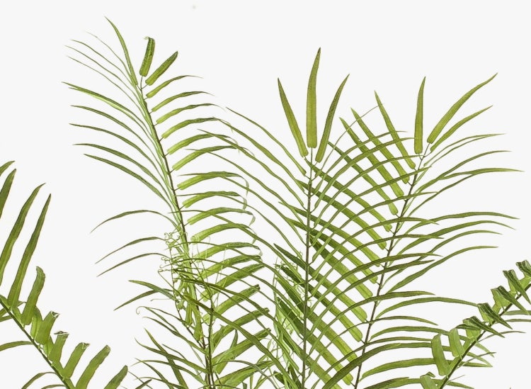 Detailaufnahme einer Kunstpflanze in einem schwarzen Kunststofftopf mit strukturiertem Stamm.