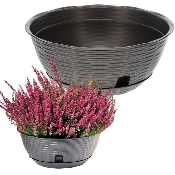 Pflanzschale Blumenschale Untersetzer Rattan Optik Kunststoff Friedhof Garten anthrazit 30 cm