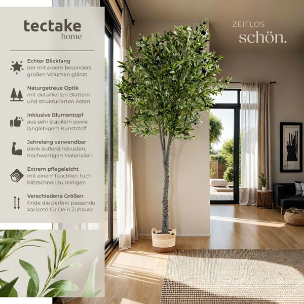 Dekorativer Olivenbaum im Topf von tectake in einem hellen Wohnraum