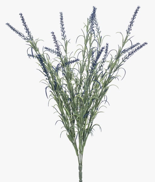 Künstliche Agave in einem schwarzen Kunststofftopf.