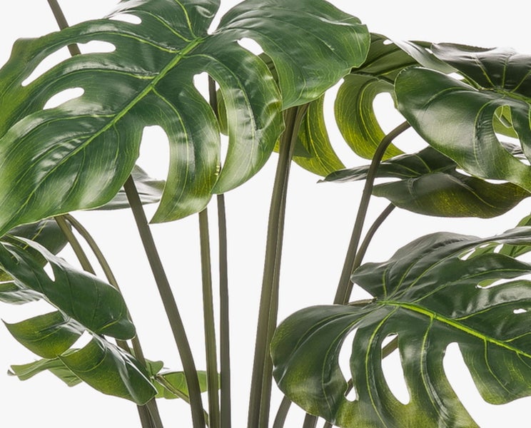 Künstliche Monstera-Pflanze mit großen, gelochten Blättern an langen Stielen.