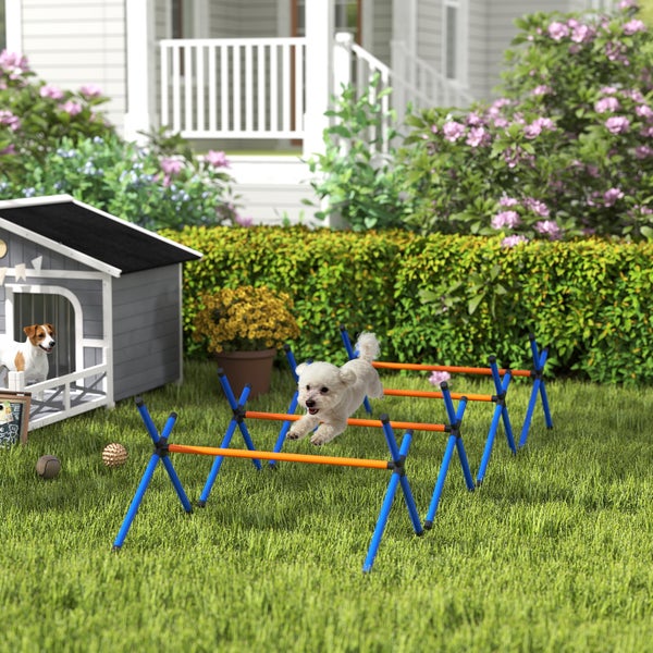 Agility-Hürden-Set für Hunde im Garten, kleiner Hund springt über ein Hindernis, Hundehütte im Hintergrund auf dem Rasen.
