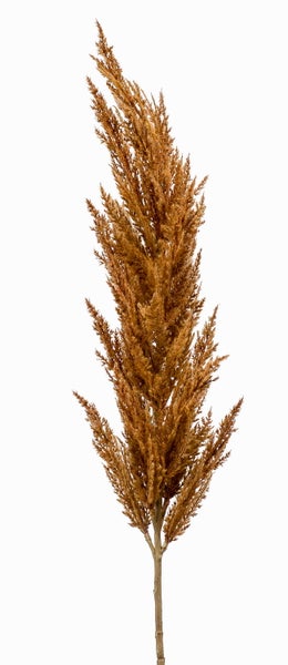 Künstlicher Pampasgraswedel in Braun für die Innendekoration.