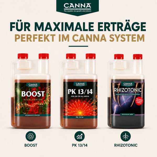 Drei Flaschen Canna Pflanzennahrung Boost, PK 13 14 und Rhizotonic für maximalen Ertrag im Canna System.