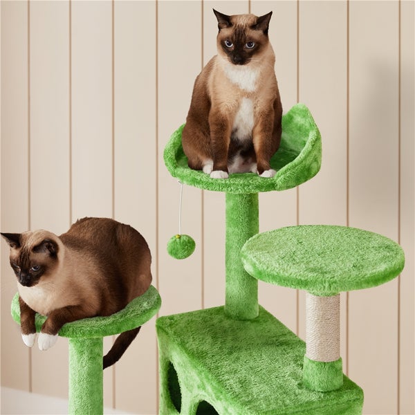 Katzenbaum mit zwei Siamkatzen