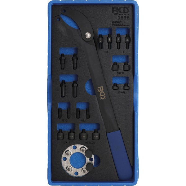 Zwei blaue Scheinzypressen im Garten