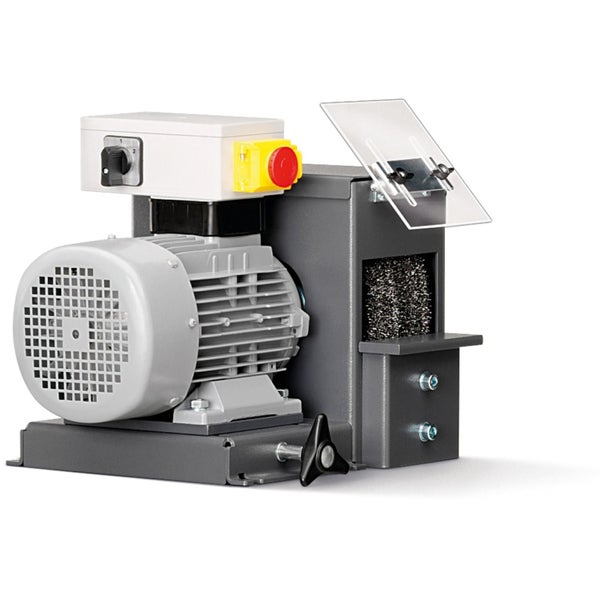 Mehrere schlanke, säulenförmige Mittelmeer-Zypressen in schwarzen Töpfen in einem hellen Gewächshaus.