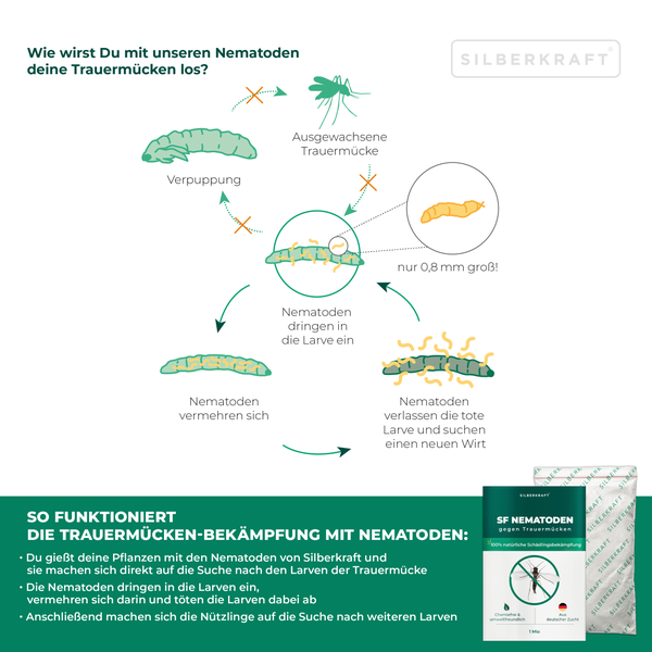 SF Nematoden – Biologische Schädlingsbekämpfung gegen Trauermückenlarven in Erde & Substrat - Gezielte Bodenbehandlung für gesunde Wurzeln – Für Zimmerpflanzen, Balkonkästen, Gewächshaus & Anzucht -  10 Mio
