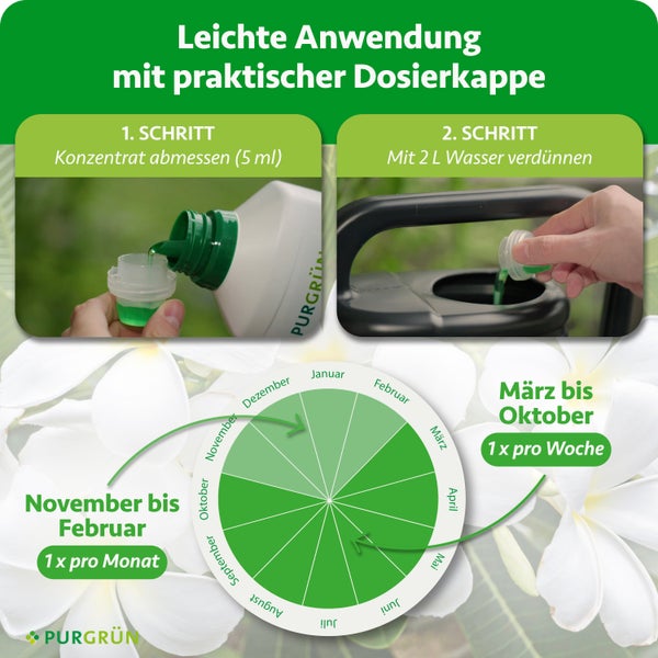 Anleitung Pflanzendünger: 5 Milliliter abmessen, mit 2 Liter Wasser mischen. Grafik zeigt Anwendungshäufigkeit pro Monat. Purgrün Logo.