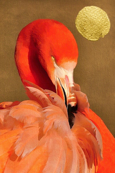 Illustration eines Flamingos mit einem Punkt