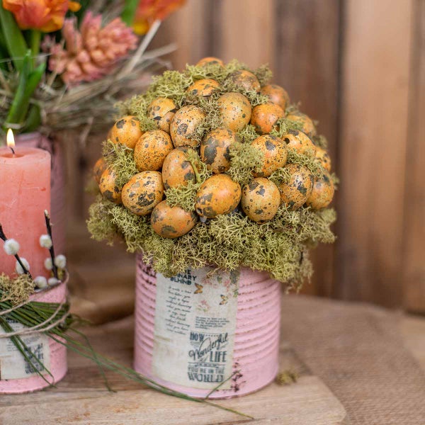 Dekoration mit Eiern und Moos in Dose