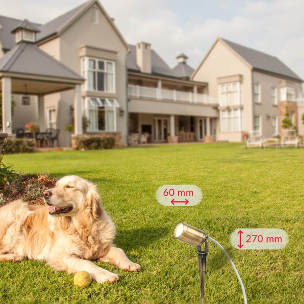 Szene mit einem Gartenstrahler, den Maßangaben 60 mm Breite und 270 mm Höhe, einem Hund und einem Haus im Hintergrund