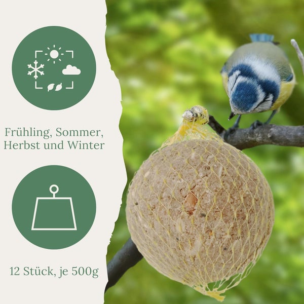 Meisenknödel im Netz mit Blaumeise auf Ast