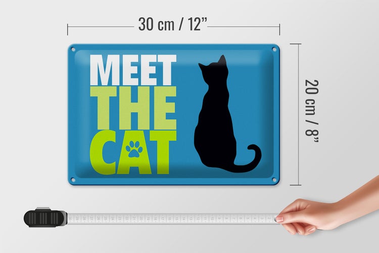 Blechschild Spruch 30x20cm meet the cat Katze