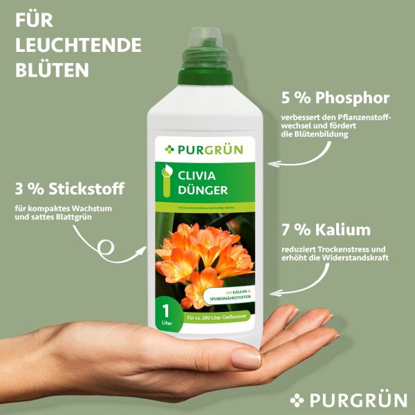 Purgrün Clivia-Dünger 1 Liter