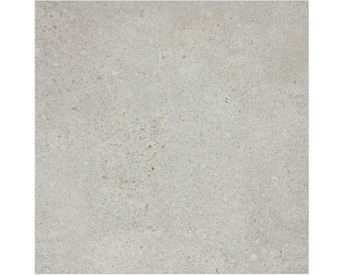 Bodenfliese Piazzetta hellgrau 59,8x59,8 cm