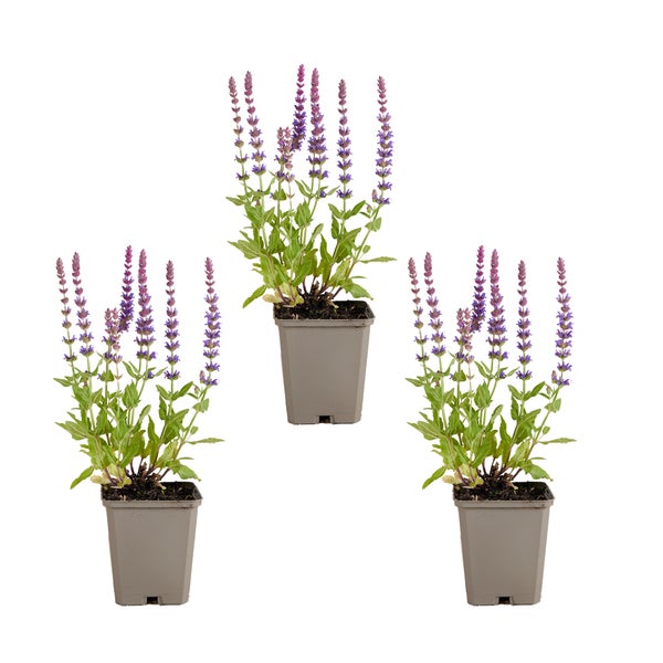 Holzspiralbohrer für Bohrmaschinen