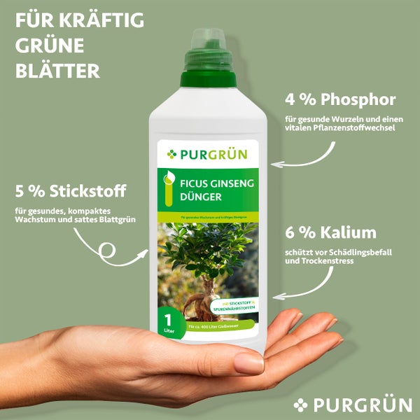 Purgrün Ficus-Ginseng-Dünger 1 Liter